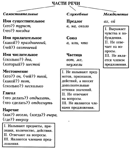 Части речи русского языка – какие бывают, краткое определение