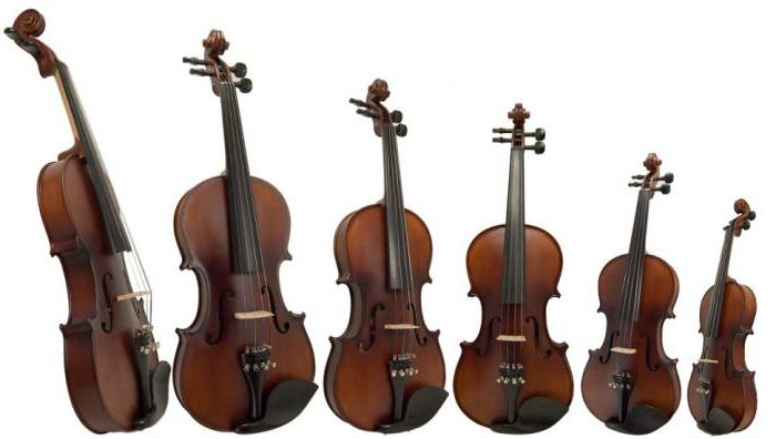 Что такое скрипка? строение и функции скрипки