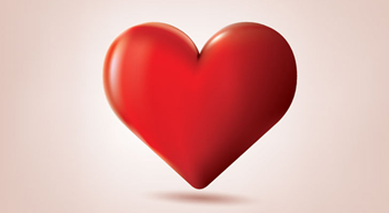 Сердце человека: особенности строения, функции и заболевания