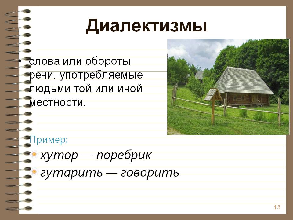 За пределами литературного языка: диалекты и говоры русского языка