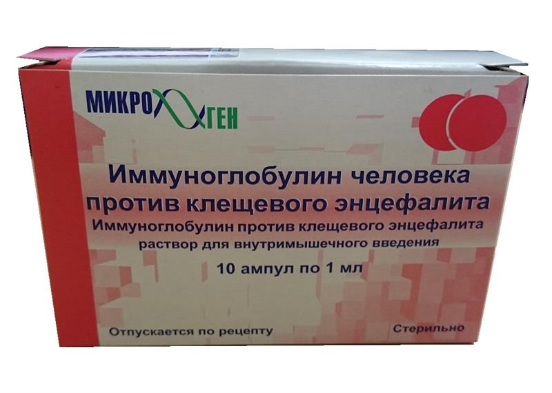 Иммуноглобулин а: показания для назначения анализа, особенности забора крови, расшифровка результатов