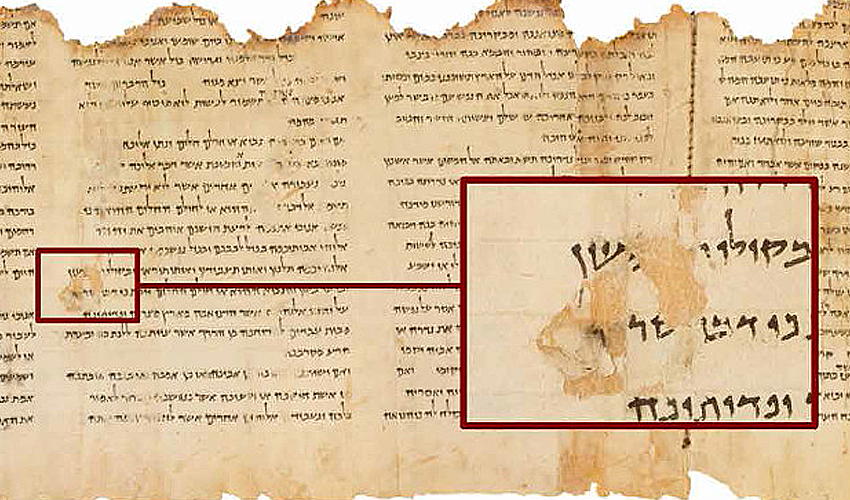 Пергамент — википедия. что такое пергамент
