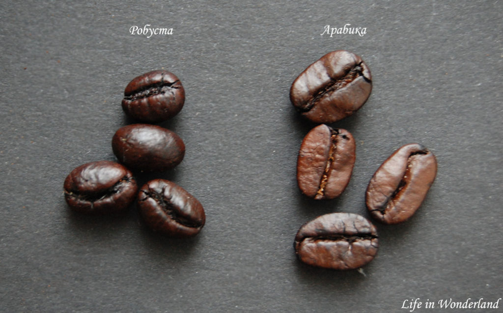 Что такое кофе арабика | журнал про кофе bravos | яндекс дзен