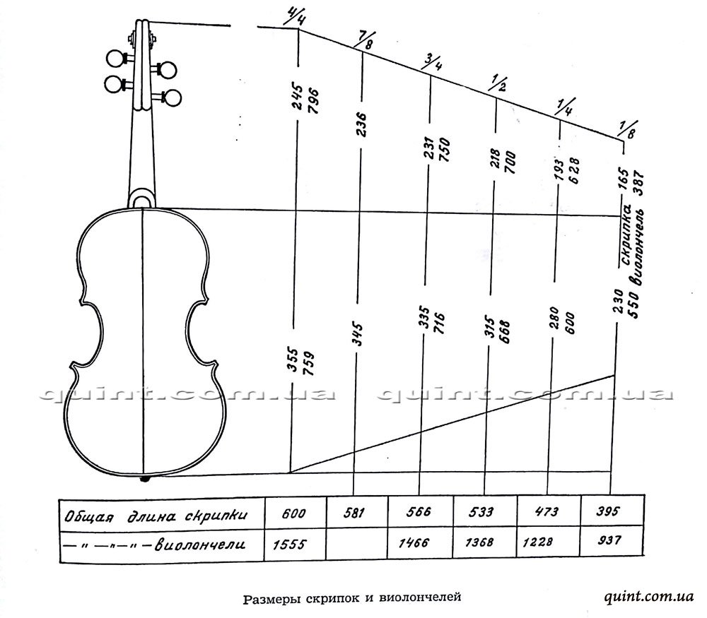 Скрипка — музыкальный инструмент — история, фото, видео | eomi энциклопедия