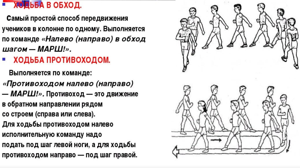 Урок физры картинки для детей