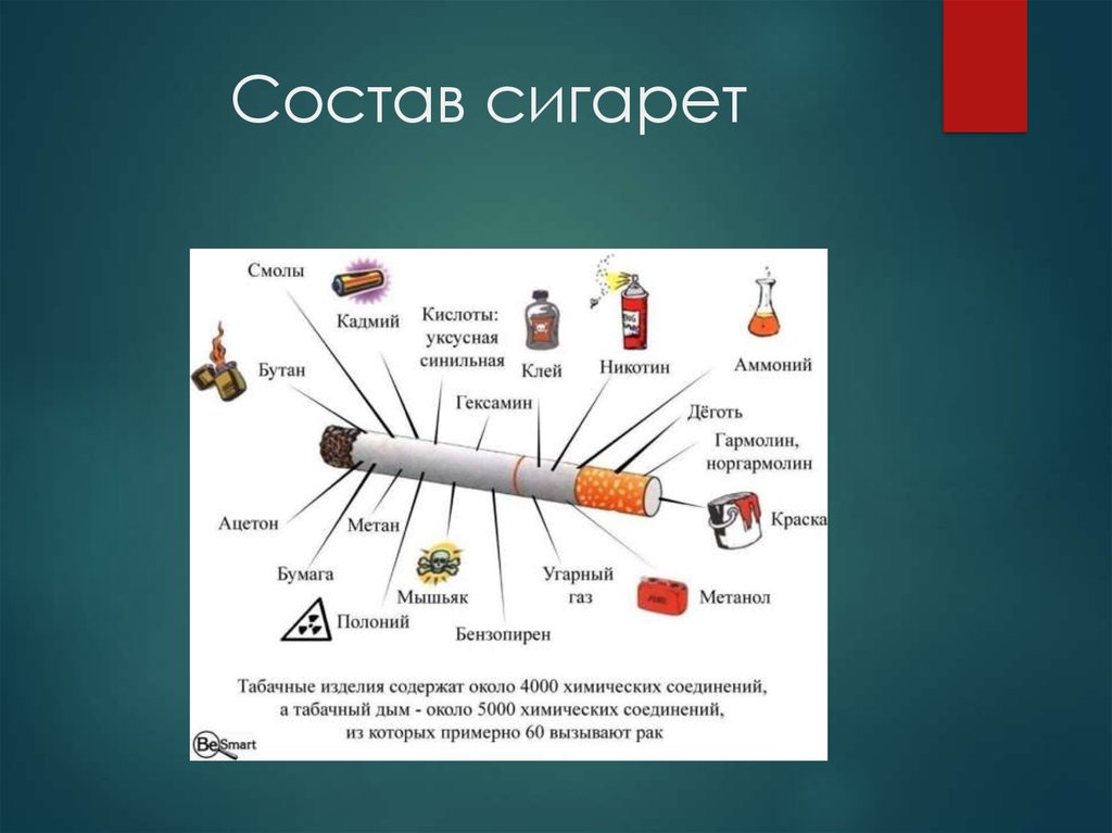 Как выбрать лучшие сигареты: рейтинг недорогих российских и зарубежных сигаретных марок