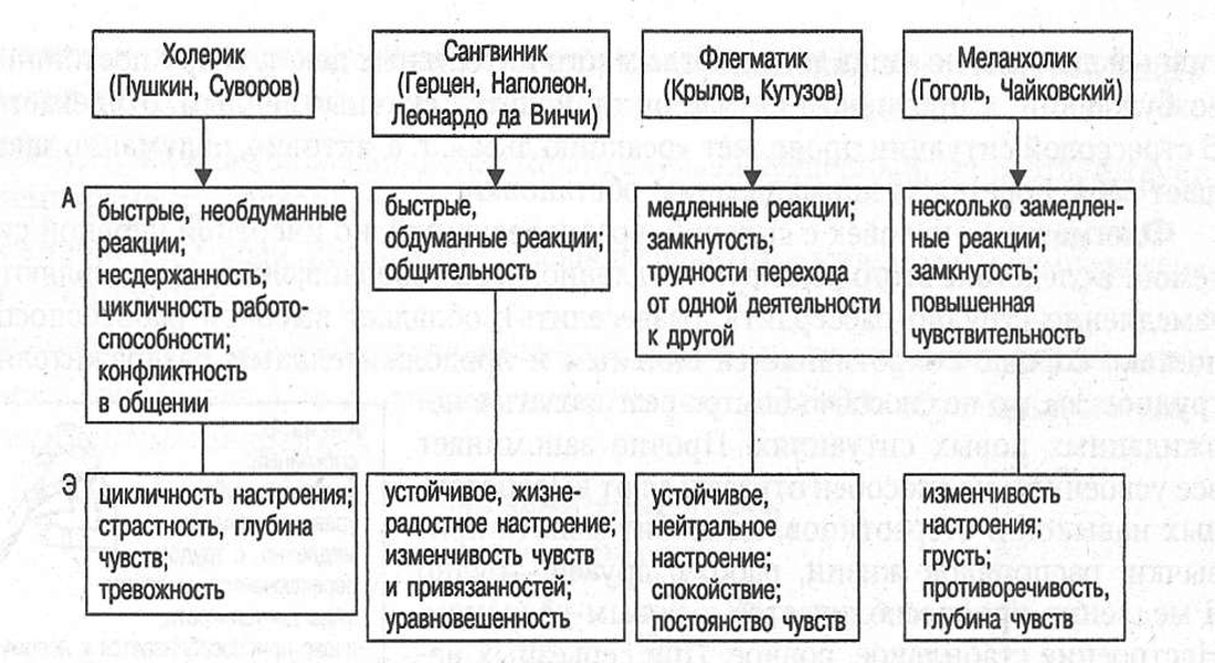 Тип темперамента сангвиник: характеристика и описание | medeponim.ru