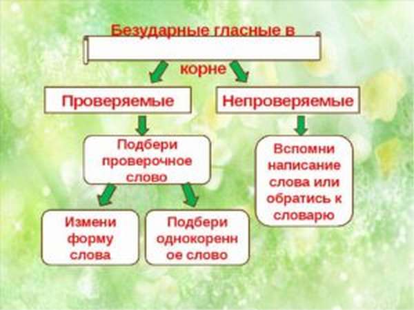 Как проверить слова с безударными гласными в корне?