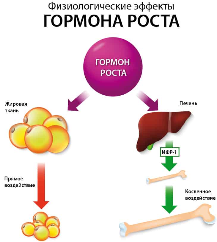 2 максимально достоверных способа определения уровня соматотропного гормона в крови