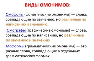 Что такое омографы в русском. что такое омографы? для чего нужны омографы