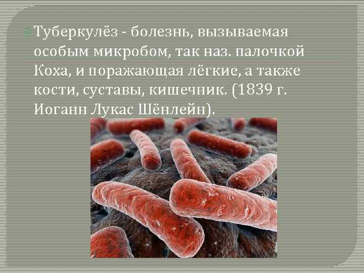 Палочка коха: характеристики бактерии, патогенность, диагностика, лечение