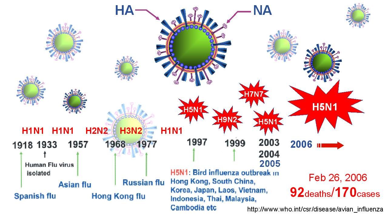 Вакцина против вируса гриппа, h5n1 инструкция, описание и отзывы