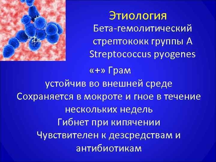 Стрептококки в крови при анализе