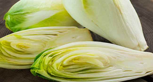Эндивий (цикорий салатный): описание, применение, фото