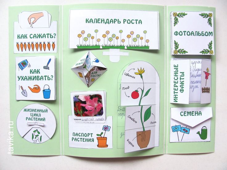 Что такое лэпбук для дошкольников по фгос? пояснения и фото