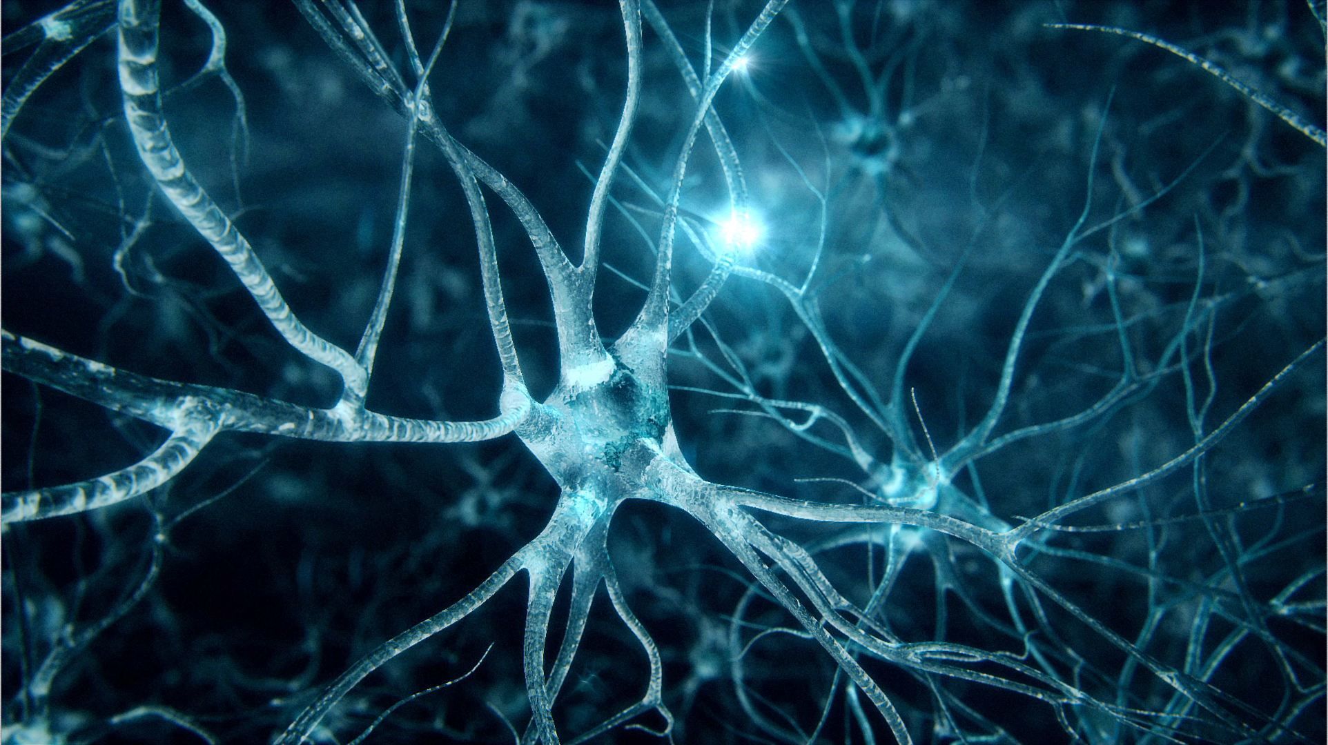 Искусственный нейрон — википедия с видео // wiki 2