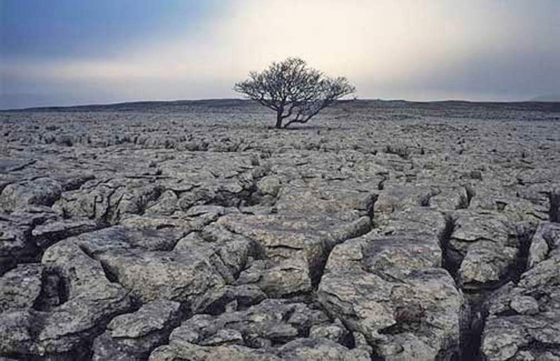 Виды, причины, последствия и борьба с эрозией почвы