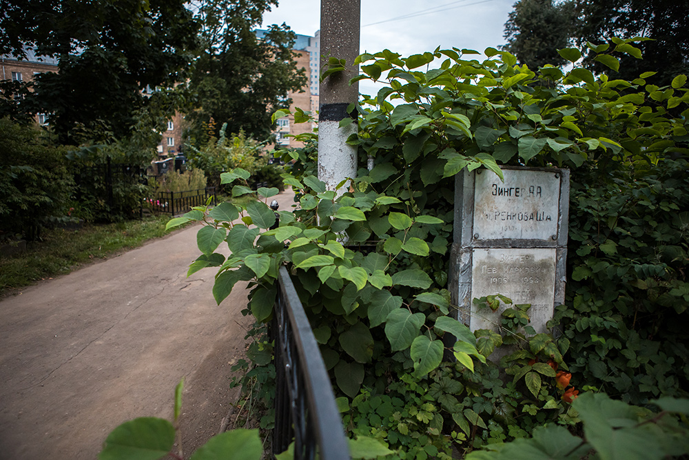 Кладбище — википедия. что такое кладбище