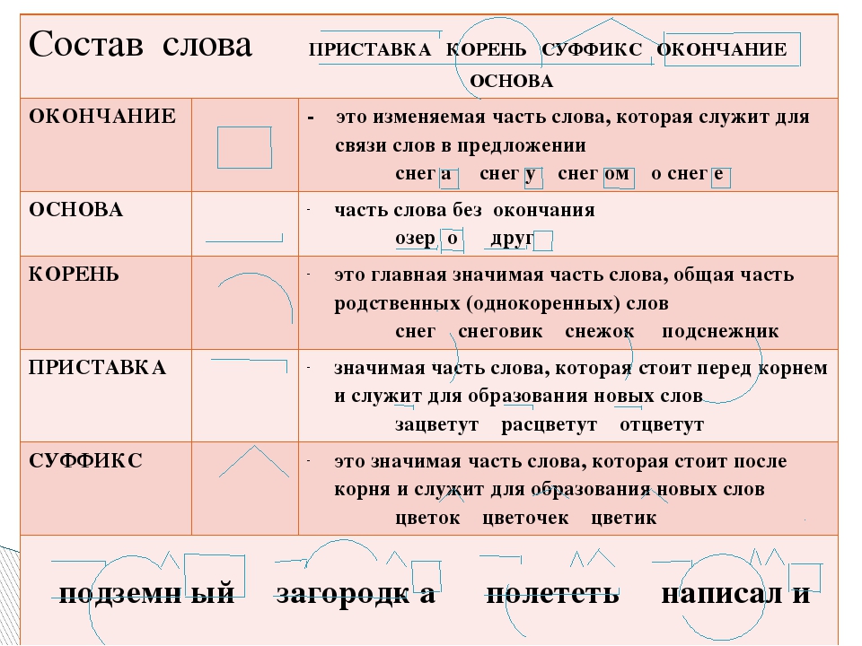 Основа слова в русском языке - правило, примеры, таблица