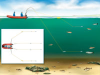 Что такое троллинг? – суперулов – интернет-портал о рыбалке