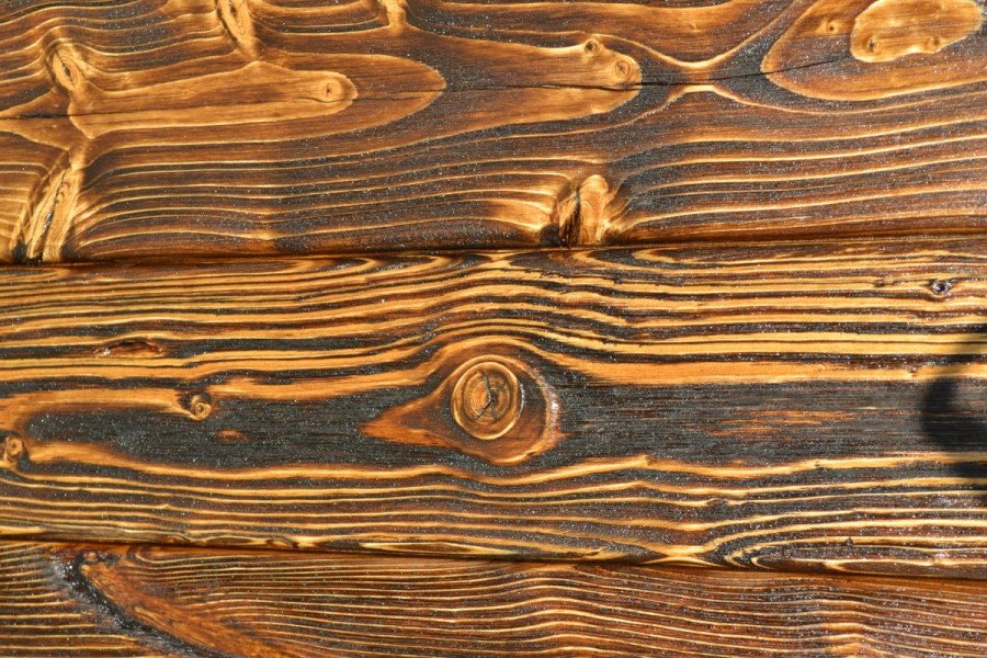 Что такое древесина?