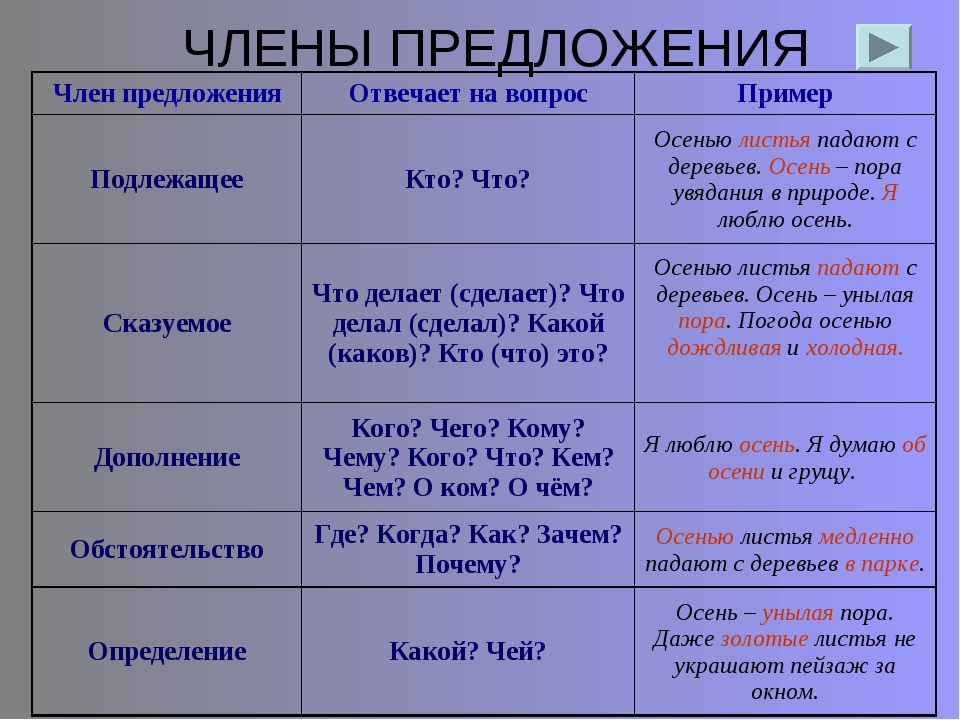 Члены предложения в русском языке – что такое и примеры частей, все главные и определение