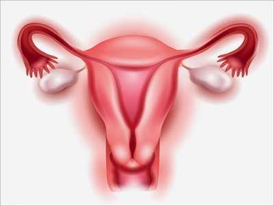 Гипоплазия матки: причины, симптомы, диагностика и лечение