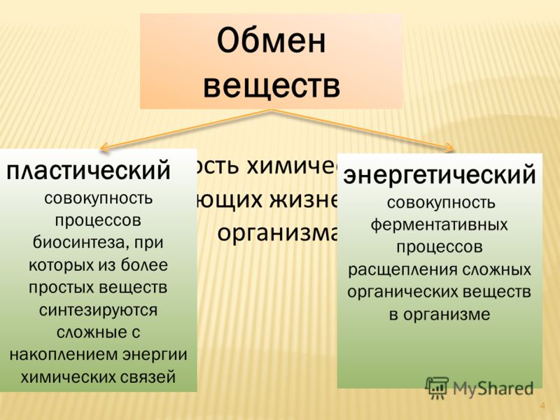 Пластический обмен
