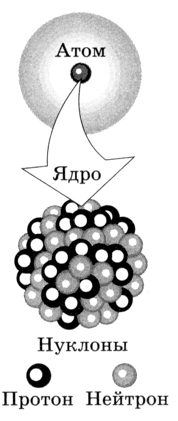 Что такое нуклоны и что из них можно "построить"