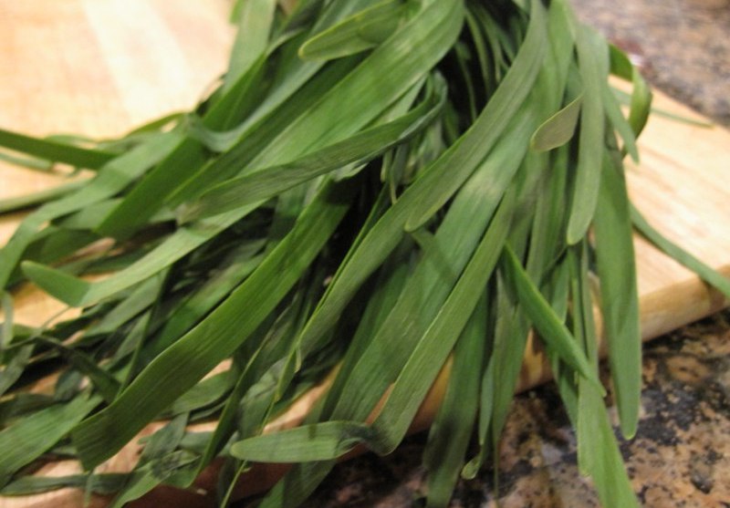 Что такое джусай: какими полезными свойствами он обладает, выращивание горного лука, рецепты приготовления