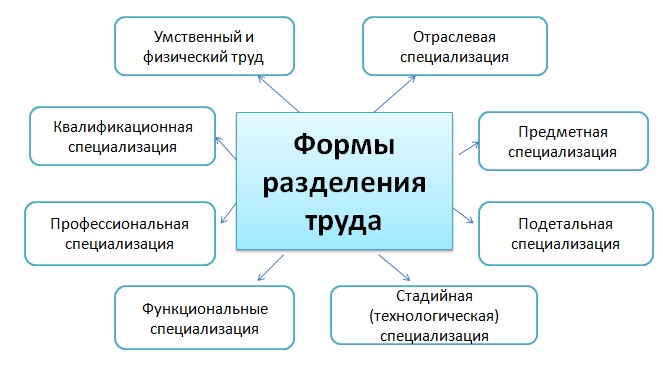 Специализация - что это такое (в экономике, географии, образовании), отрасли специализации  | ktonanovenkogo.ru