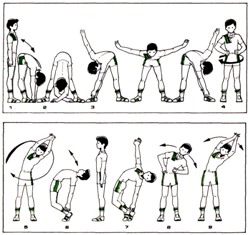 Комплекс упражнений в домашних условиях: программа тренировок для начинающих и опытных спортсменов (100 фото и видео советы)