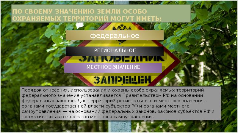 Заповедник – это территория исключительной природы :: businessman.ru