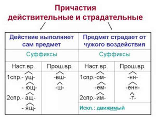 Что такое страдательное причастие в русском языке?