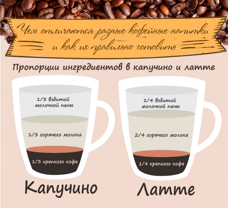Чем отличается латте от капучино: разница между видами кофе