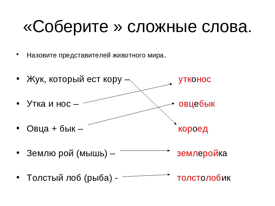 Приведите пример сложного слова. Сложные слова в русском языке 2 класс. Правило сложные слова 3 класс в русском языке. Сложные сложные слова. Сложные слова 2 класс.