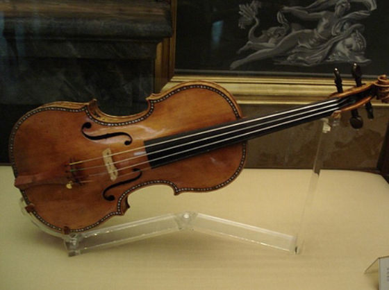 Что такое скрипка? строение и функции скрипки
