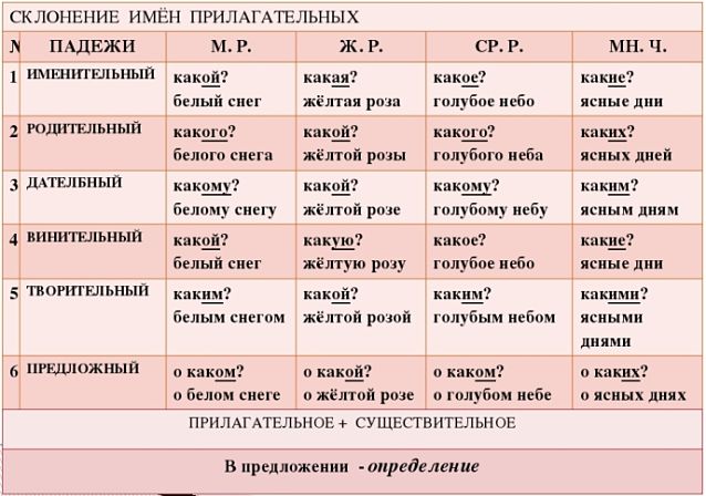 Притяжательные прилагательные в русском языке. примеры