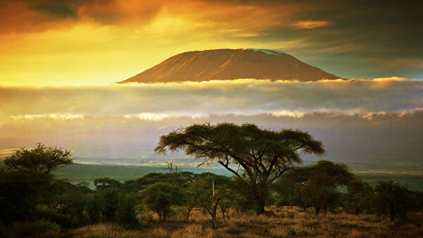 Килиманджаро - самая высокая гора в африке. танзания