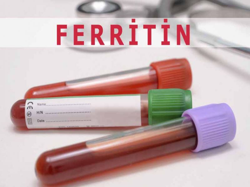 Ферритин - что это? анализ крови на ферритин, норма железа и низкий ферритин