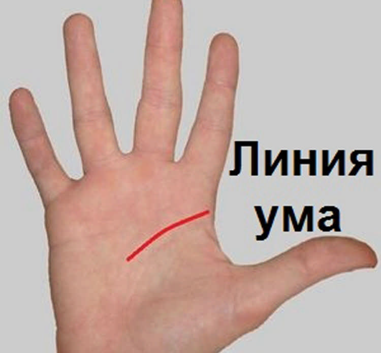 О чем говорит длина пальцев на руках