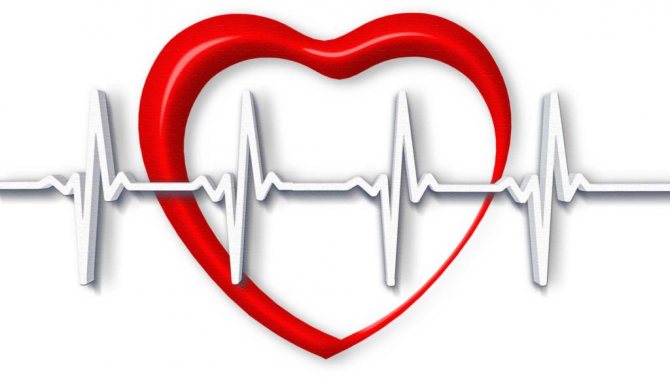 Частота пульса и частота сердечных сокращений.