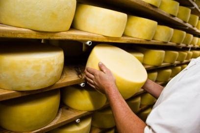 Что такое сычужный сыр: происхождение и технология производства, чем отличаются мягкие от твердых, домашний рецепт