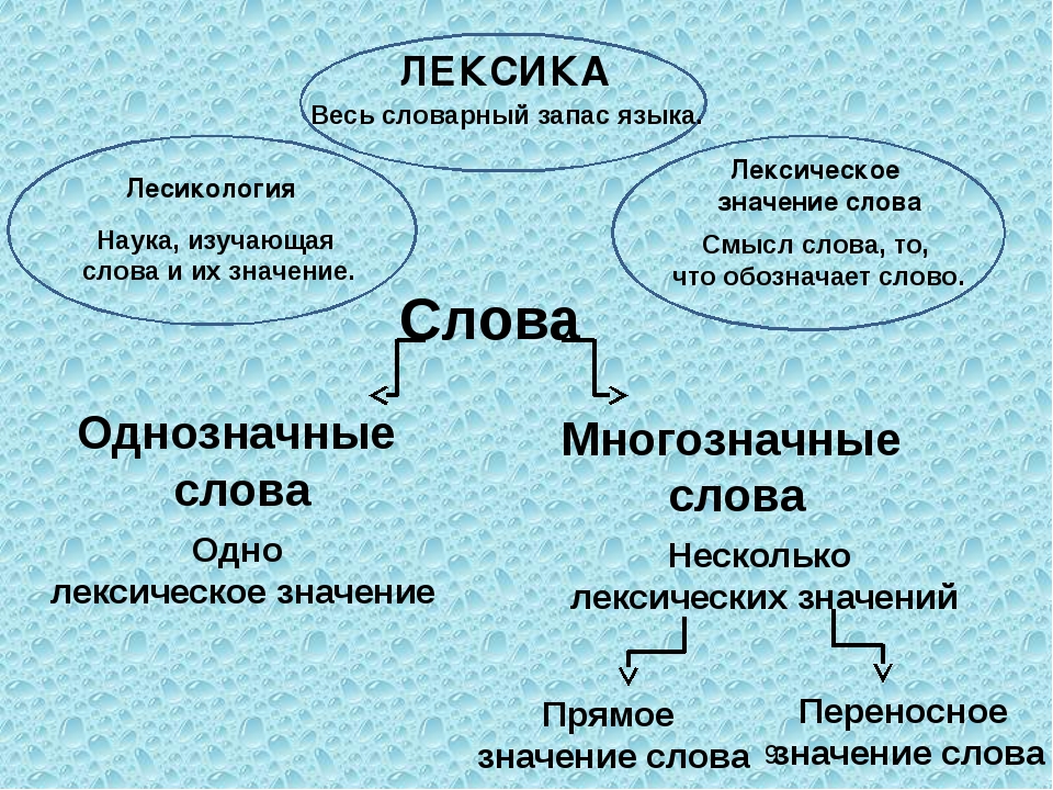 Знакомство Учащихся Начальной Школы С Лексикологией