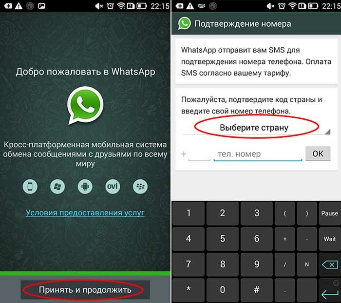 Whatsapp — википедия