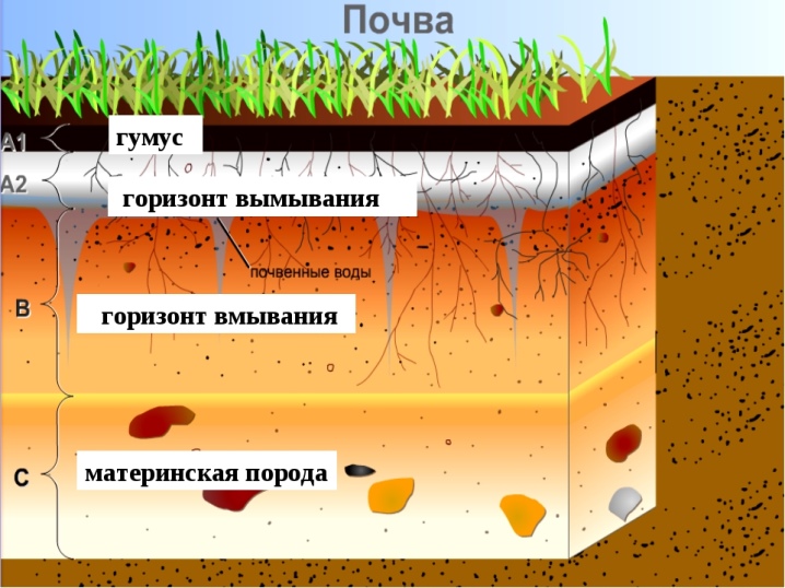 Гумус: что это такое и как повысить его содержание в почве