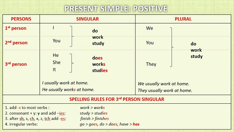 Present simple или простое настоящее время в английском языке