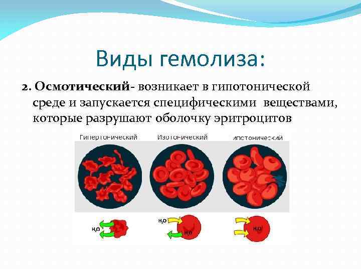 Гемолиз крови при сдаче анализов