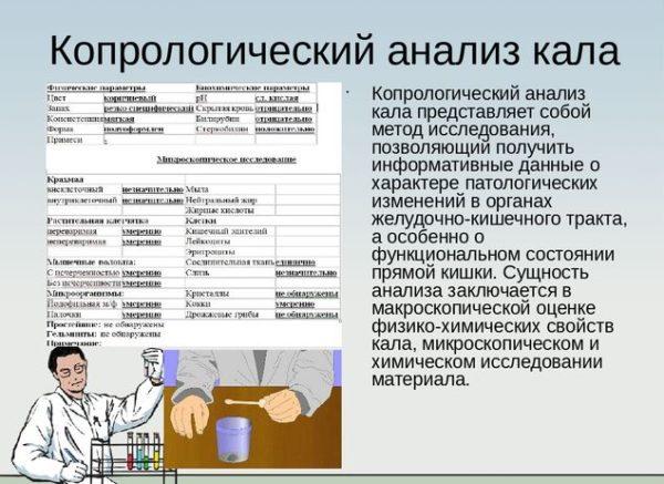 Врач клинической лабораторной диагностики даёт максимально развёрнутую информацию о копрограмме: её значение, показатели и интерпретация результатов