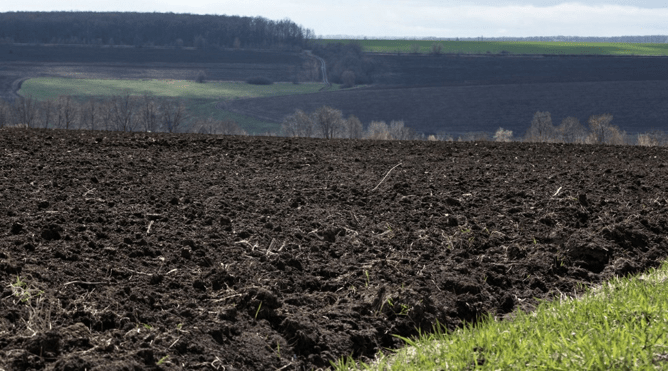 Природная зона чернозема: для каких зон характерны черноземные почвы в россии и где они находятся в мире? как формируются и где распространены?
